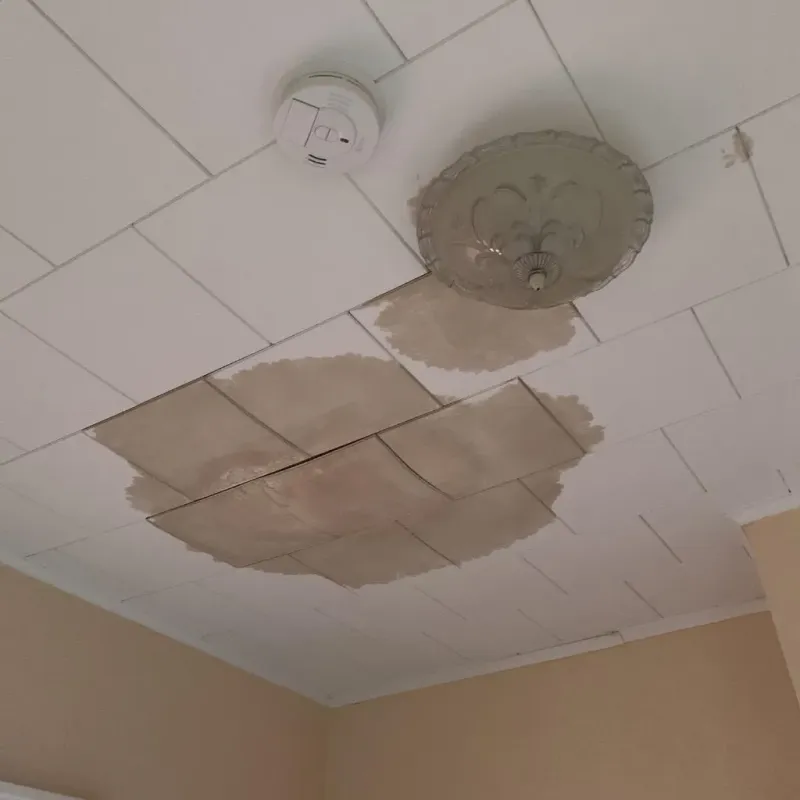 Ceiling Water Damage Repair in LaVerkin, UT