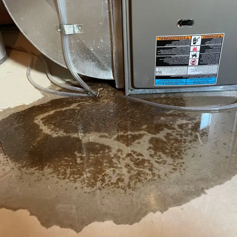 Pipe Burst and Leak Restoration in LaVerkin, UT