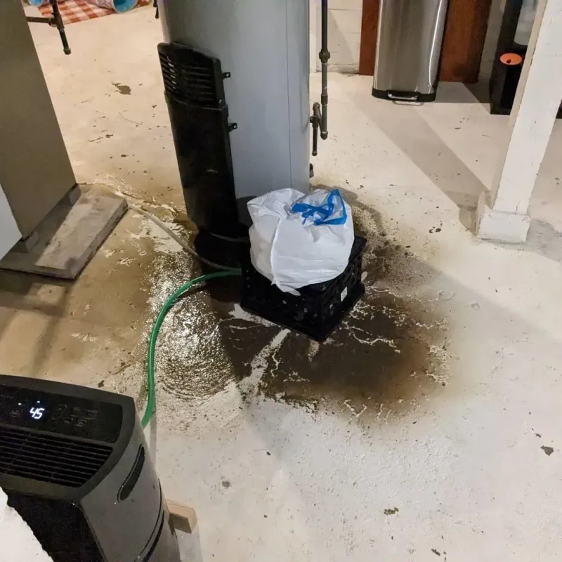 Sewage Backup Cleanup Service in LaVerkin, UT